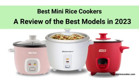 best mini rice cooker